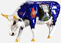 Cow Contigs